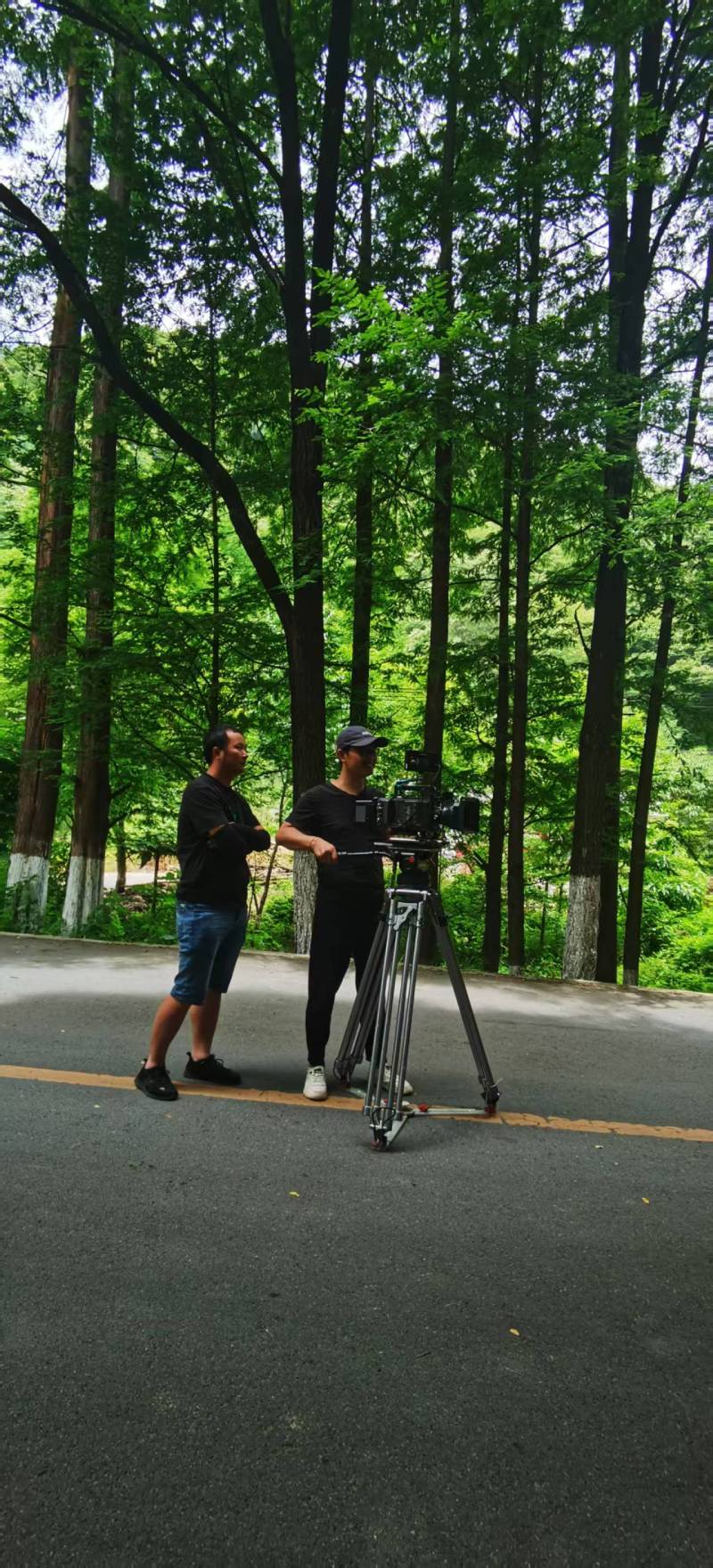 槐荫区专业宣传片拍摄，让您的业务更上一层楼！